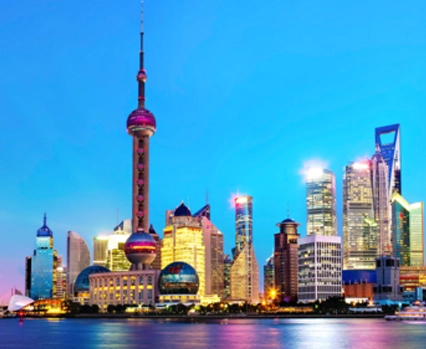 Shanghai Free Trade Zone Company Registration